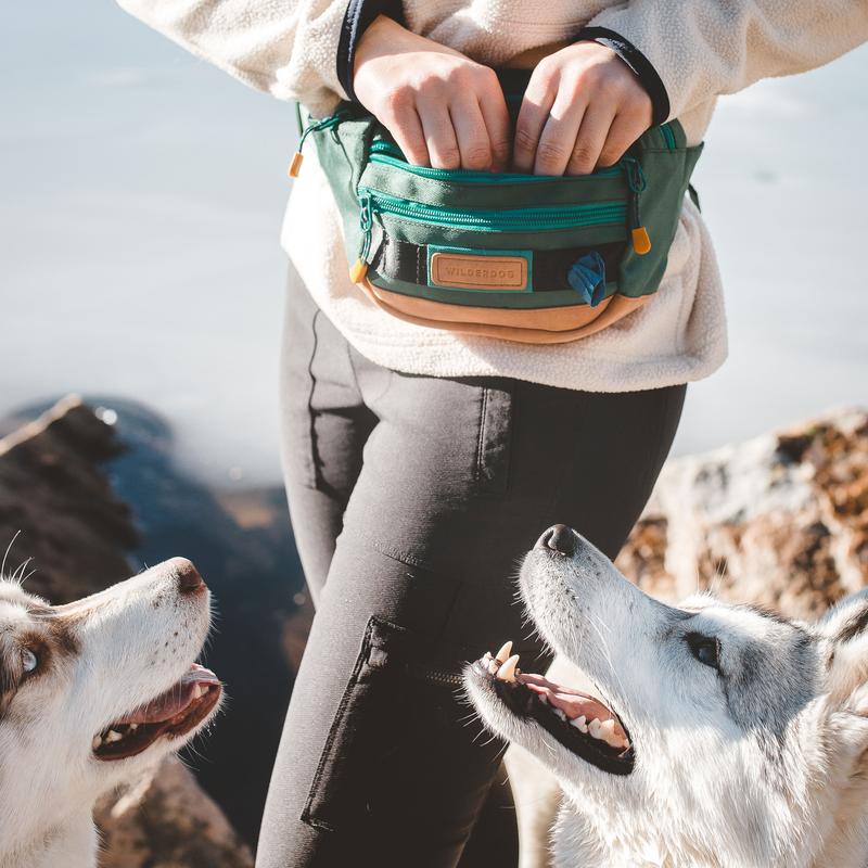 Wilderdog Dog Walking Utility Pack