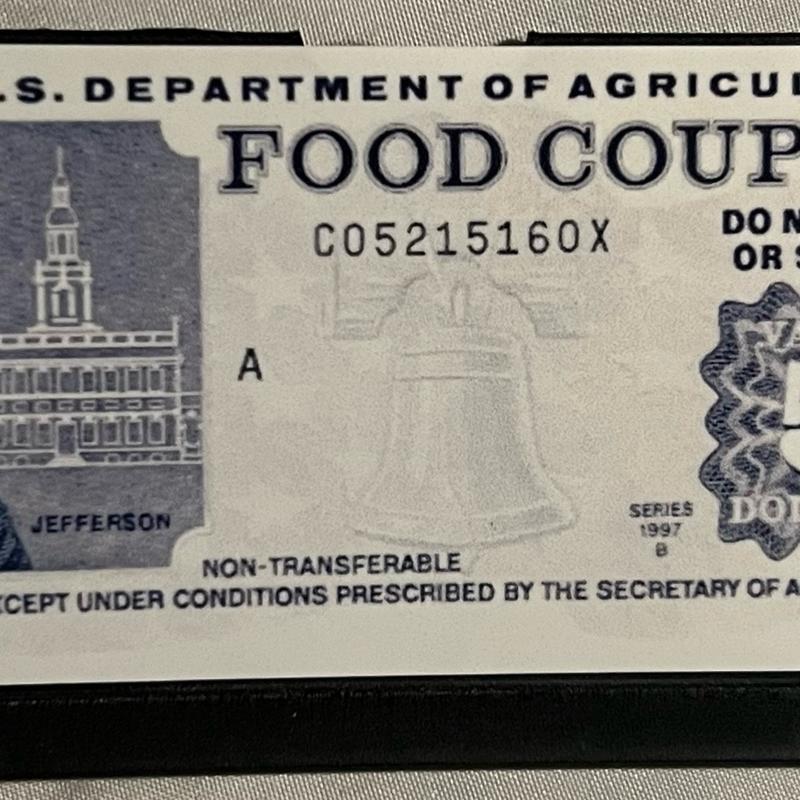 Food Coupon Credit Card Protector Holder MADE IN USA